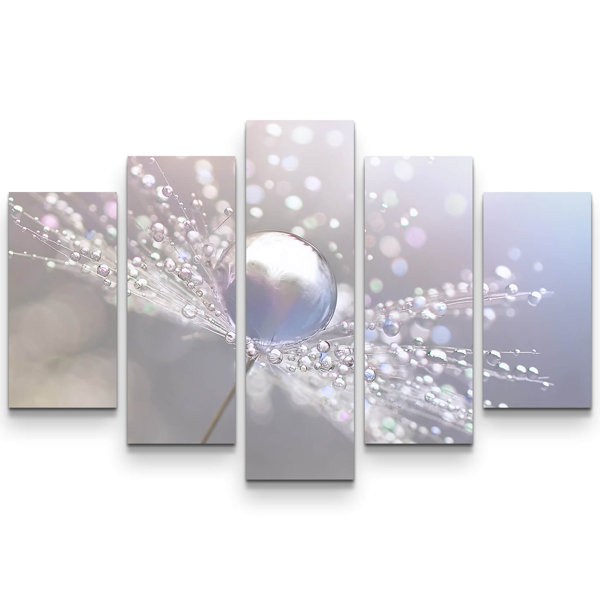 East Urban Home 5-tlg. Leinwandbilder-Set Pusteblume mit Wassertropfen